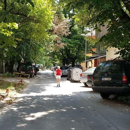 Селена 3 Varna Luaran gambar